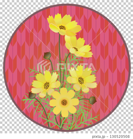 円形背景つきコスモスのイラスト 円形背景つきコスモスのイラスト 130520508