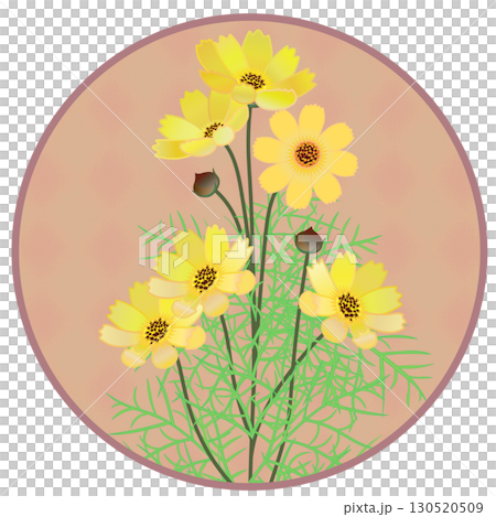 Illustration of cosmos with circular background Illustration of cosmos with circular background 130520509