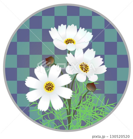 円形背景つきコスモスのイラスト 130520520