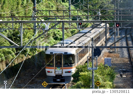 JR飯田線・平岡駅を発車する特急伊那路 130520811