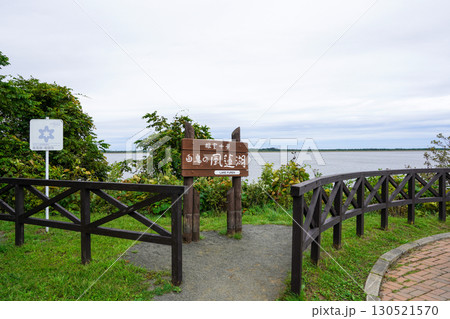 根室十景・白鳥の風蓮湖 根室十景・白鳥の風蓮湖 130521570