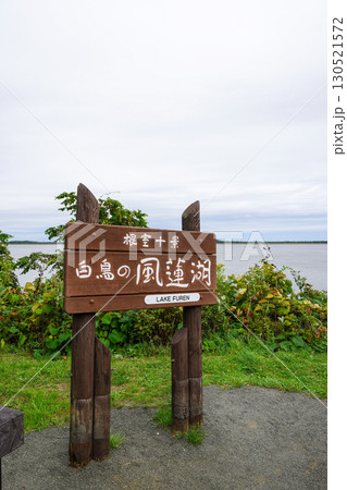 根室十景・白鳥の風蓮湖 130521572
