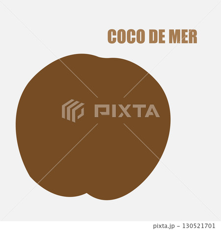 Rare Coco de Mer nut icon, sea coconut, coco de mer, or double coconut. Lodoicea fruit 130521701