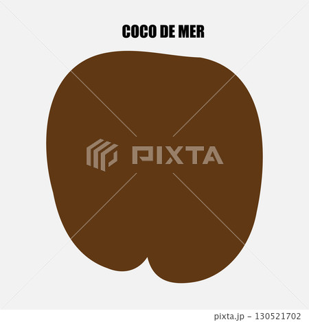 Rare Coco de Mer nut icon, sea coconut, coco de mer, or double coconut. Lodoicea fruit 130521702