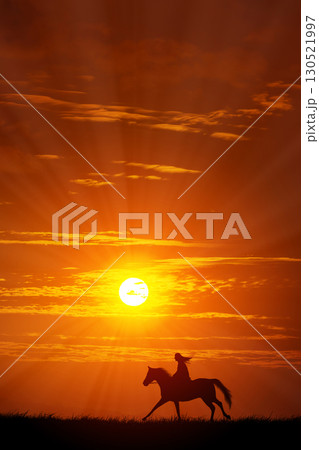 朝の空に馬のシルエット 朝の空に馬のシルエット 130521997