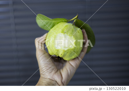 Holding A Green Guava In Hand Holding A Green Guava In Hand 130522010