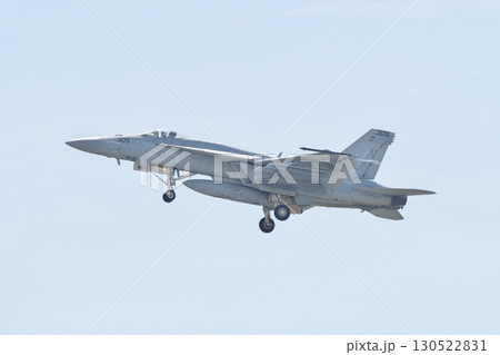 デモフライトを行うアメリカ海軍のF/A-18E スーパーホーネット VFA-115 イーグルス デモフライトを行うアメリカ海軍のF/A-18E スーパーホーネット VFA-115 イーグルス 130522831