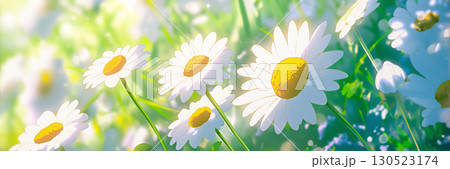 太陽光とヒナギク、アニメ風 130523174