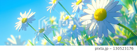 夏のヒナギク、アニメ風 130523176