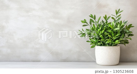 Greenery in pot with textured wall. Greenery in pot with textured wall. 130523608