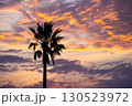 ヤシの木と夕焼け 130523972