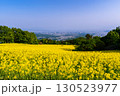 菜の花畑から望む会津盆地 130523977
