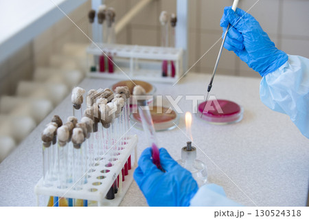 The hands of a physician laboratory assistant in an infectious disease laboratory examines the samples. 130524318