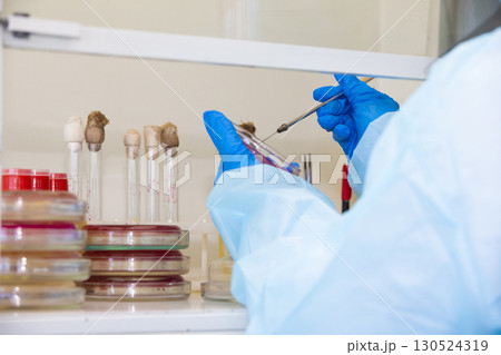 The hands of a physician laboratory assistant in an infectious disease laboratory examines the samples. 130524319