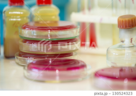 Bacterial colonies of streptococci with alpha hemolytics on a blood agar plate. Infection laboratory at the hospital. 130524323