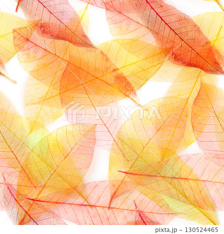 Autumn leaves seamless pattern. Skeleton leaves repeat print. Fall wallpaper Autumn leaves seamless pattern. Skeleton leaves repeat print. Fall wallpaper 130524465