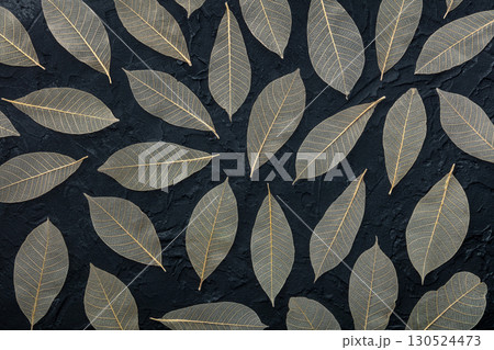Autumn leaves background. Skeleton leaves pattern on a black texture Autumn leaves background. Skeleton leaves pattern on a black texture 130524473