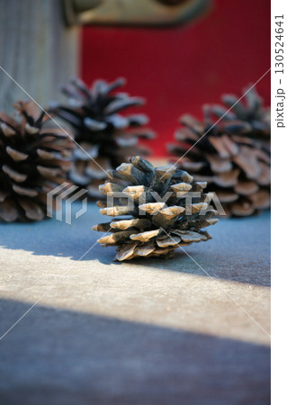 公園の遊具の上に沢山集められた松ぼっくり 130524641