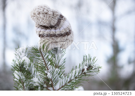 A knitted hat hangs on a snow-covered tree. A knitted hat hangs on a snow-covered tree. 130524723