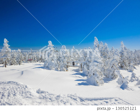 樹氷と雪に埋もれた横手山神社の鳥居とスキー場のリフト (長野県、山ノ内町、横手山) 130525121