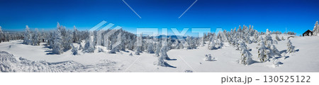 横手山頂から望む樹氷、雪に埋もれた鳥居、浅間山、山頂駅舎のパノラマ (長野県、山ノ内町、横手山) 横手山頂から望む樹氷、雪に埋もれた鳥居、浅間山、山頂駅舎のパノラマ (長野県、山ノ内町、横手山) 130525122