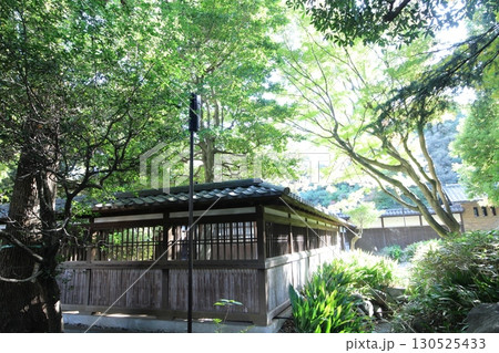 東京　駒場公園内の旧前田家本邸 和館 130525433