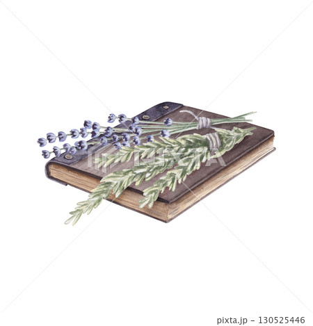 Watercolor composition of book and herbs. Hand drawn illustration isolated on white background 130525446