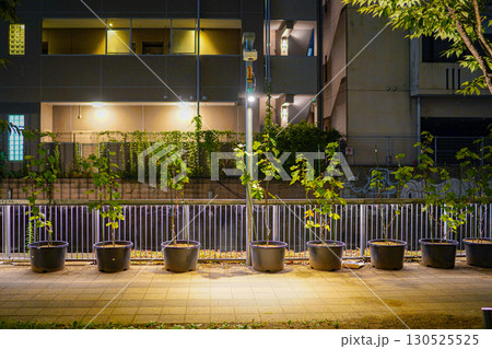 夜の植木鉢列 夜の植木鉢列 130525525