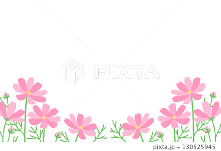 コスモスの花畑のフレーム 秋 ピンク 背景 シンプル コスモスの花畑のフレーム 秋 ピンク 背景 シンプル 130525945