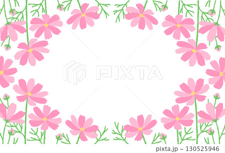 コスモスの花畑のフレーム　秋　ピンク　シンプル 130525946