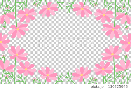 コスモスの花畑のフレーム　秋　ピンク　シンプル 130525946