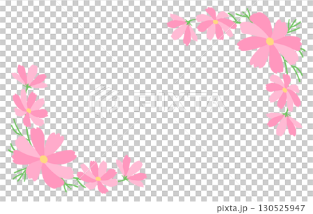 コスモスの花フレーム 秋 ピンク 装飾 枠 コスモスの花フレーム 秋 ピンク 装飾 枠 130525947