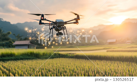 A drone flying above green rice fields during sunset, scanning crops with AI technology. Perfect for agriculture, smart farming, and tech applications. 130526517