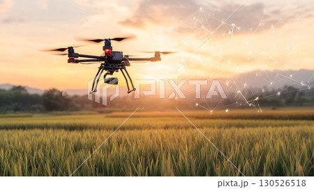 A drone flying above green rice fields during sunset, scanning crops with AI technology. Perfect for agriculture, smart farming, and tech applications. 130526518