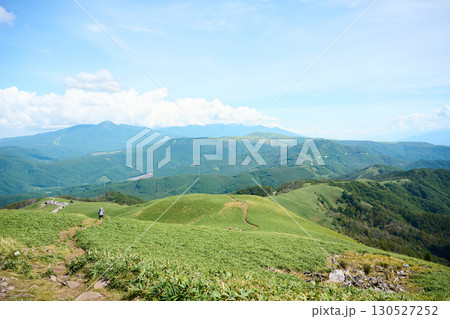 三峰山の登山道 三峰山の登山道 130527252