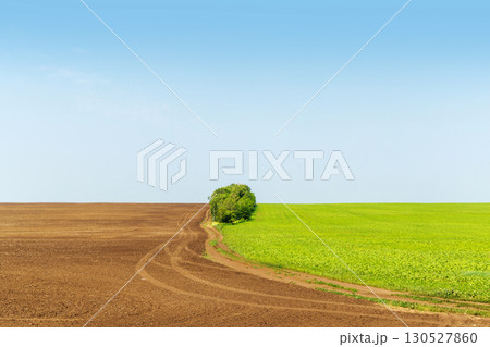 Landscape with a sown field and a plowed field Landscape with a sown field and a plowed field 130527860