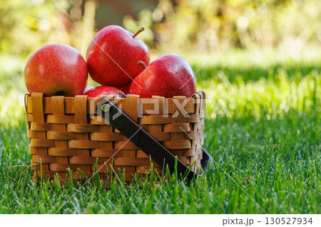 Basket of ripe red apples on a green meadow Basket of ripe red apples on a green meadow 130527934