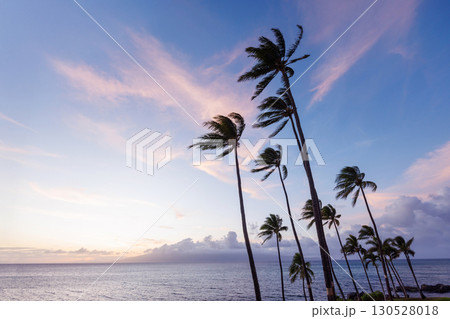 Stunning Hawaii ocean sunset with silhouettes of palm trees swaying against a vibrant sky Stunning Hawaii ocean sunset with silhouettes of palm trees swaying against a vibrant sky 130528018