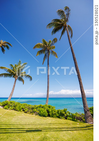 Beautiful Maui landscape in Hawaii Beautiful Maui landscape in Hawaii 130528021