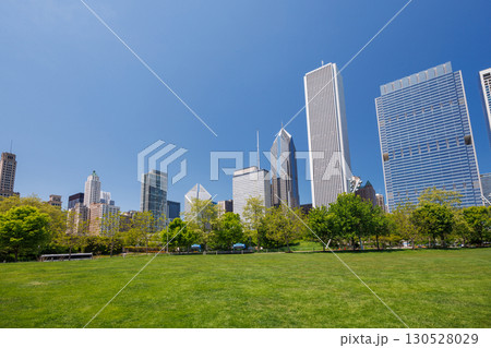 Sunny view of downtown Chicago with iconic skyscrapers rising above a lush green park meadow 130528029