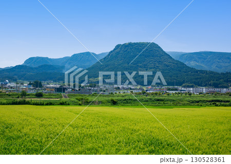 玖珠盆地の水田と伐株山 玖珠盆地の水田と伐株山 130528361