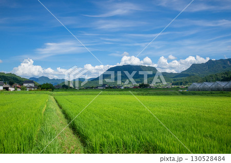 玖珠盆地の水田と万年山 130528484