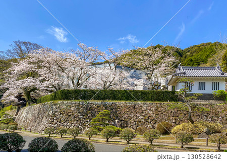 佐伯城三の丸櫓門と佐伯文化会館の桜 130528642