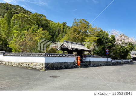 佐伯市　山際史跡広場と桜 130528843