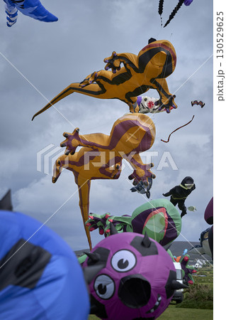 Kite Festival, kites on the sky 130529625