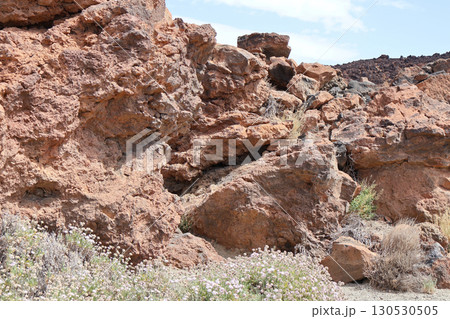 Volcanic rock formations with desert vegetation in Teide National Park, Tenerife, Canary Islands 130530505