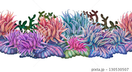 Seamless border with underwater seascape of multi colorful corals and anemones. Watercolor template for marine design, cards, posters, books, stickers, scrapbooking, textiles Seamless border with underwater seascape of multi colorful corals and anemones. Watercolor template for marine design, cards, posters, books, stickers, scrapbooking, textiles 130530507