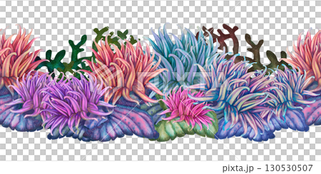 Seamless border with underwater seascape of multi colorful corals and anemones. Watercolor template for marine design, cards, posters, books, stickers, scrapbooking, textiles Seamless border with underwater seascape of multi colorful corals and anemones. Watercolor template for marine design, cards, posters, books, stickers, scrapbooking, textiles 130530507