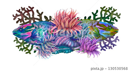 Rainbow big tropical parrot fish among multicolored mesh fire corals. Underwater sea view watercolor template for marine design, cards, posters, stickers, scrapbooking, textile, diving, snorkeling 130530568