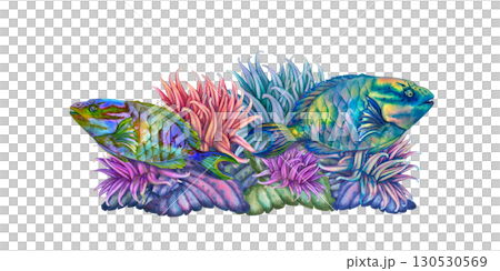 Rainbow tropical parrotfish among colorful corals, anemones. Underwater seascape in watercolor template for design, cards, posters, children's books, stickers, scrapbook, textiles, diving, snorkeling. Rainbow tropical parrotfish among colorful corals, anemones. Underwater seascape in watercolor template for design, cards, posters, children's books, stickers, scrapbook, textiles, diving, snorkeling. 130530569